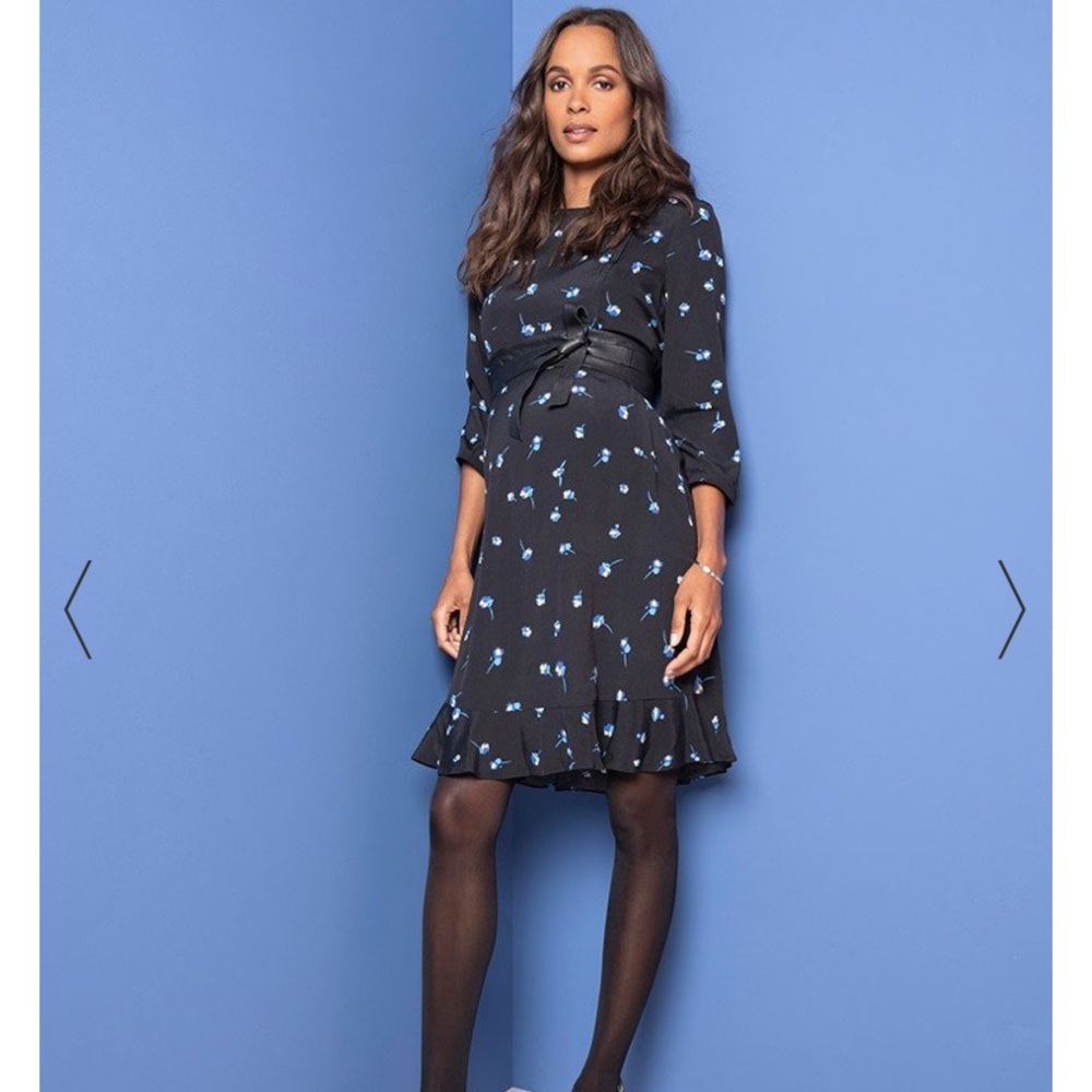 Size 4 Seraphine Maternity/nursing Dress